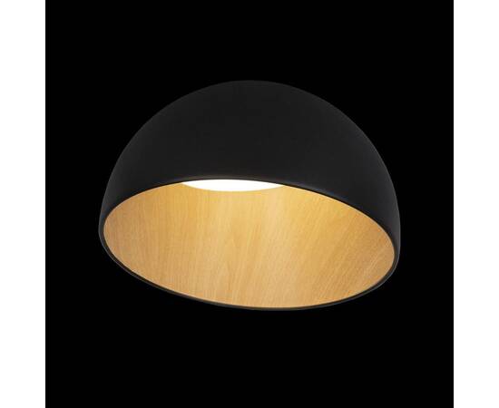 Потолочный светодиодный светильник Loft IT Egg 10197/350 Black, изображение 4
