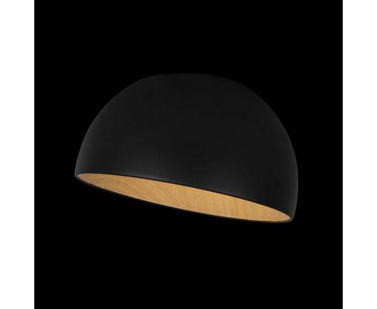 Потолочный светодиодный светильник Loft IT Egg 10197/350 Black, изображение 5