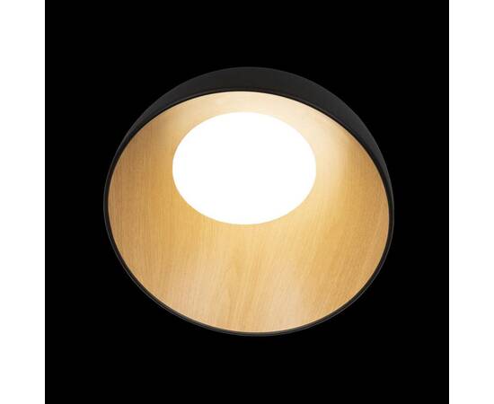 Потолочный светодиодный светильник Loft IT Egg 10197/350 Black, изображение 6