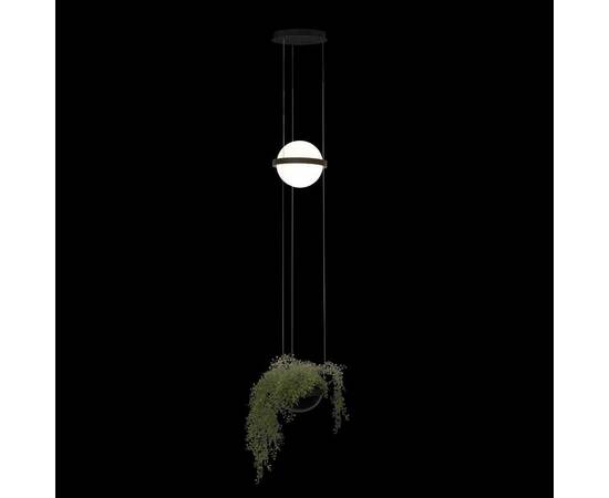 Подвесной светильник LOFT IT Jardin 10121/B, изображение 2