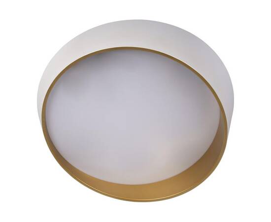 Потолочный светодиодный светильник Loft IT Coin 10199 White, изображение 3