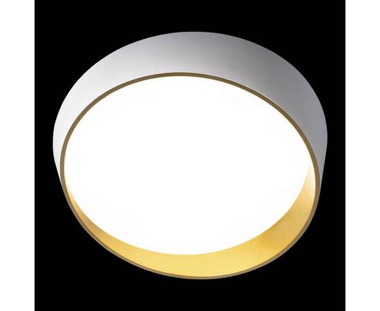 Потолочный светодиодный светильник Loft IT Coin 10199 White, изображение 5