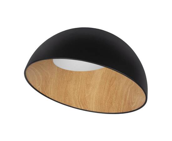 Потолочный светодиодный светильник Loft IT Egg 10197/500 Black