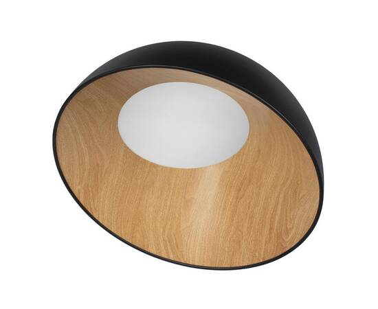 Потолочный светодиодный светильник Loft IT Egg 10197/500 Black, изображение 2