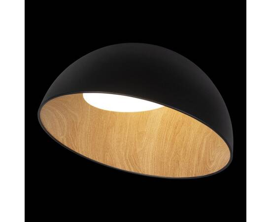Потолочный светодиодный светильник Loft IT Egg 10197/500 Black, изображение 6