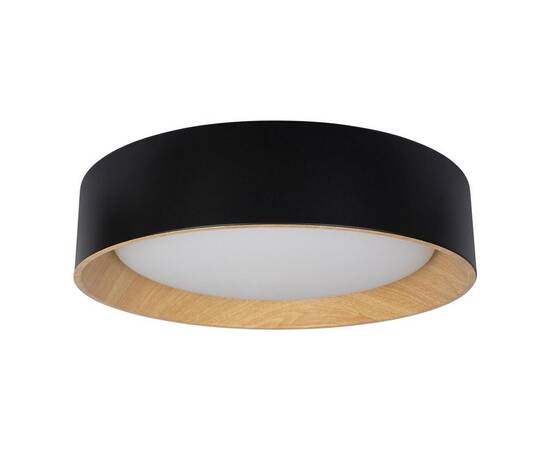 Потолочный светодиодный светильник Loft IT Coin 10202 Black