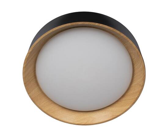 Потолочный светодиодный светильник Loft IT Coin 10202 Black, изображение 2