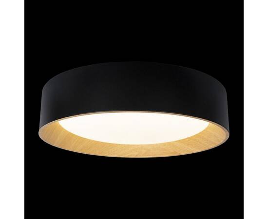 Потолочный светодиодный светильник Loft IT Coin 10202 Black, изображение 4