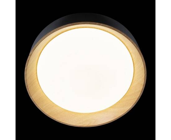 Потолочный светодиодный светильник Loft IT Coin 10202 Black, изображение 5