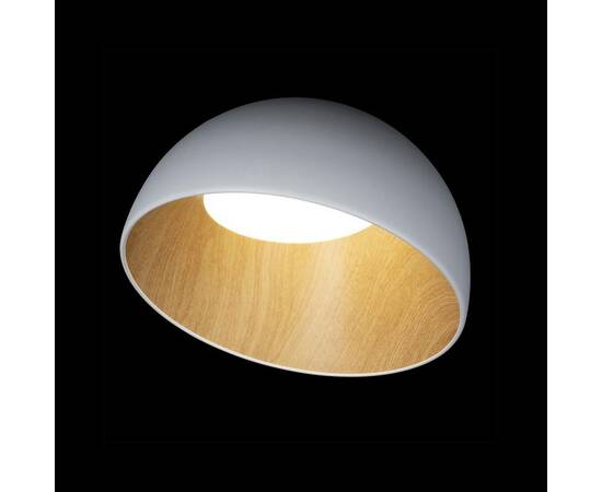 Потолочный светодиодный светильник Loft IT Egg 10197/350 White, изображение 6