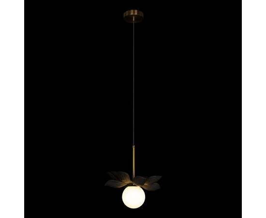 Подвесной светильник Loft IT Monro 10213/B Black, изображение 2