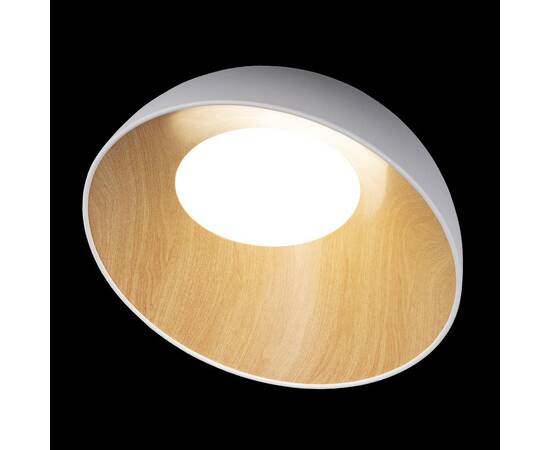 Потолочный светодиодный светильник Loft IT Egg 10197/500 White, изображение 5