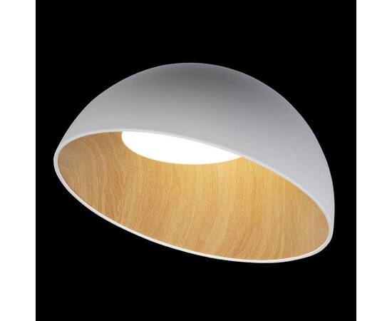 Потолочный светодиодный светильник Loft IT Egg 10197/500 White, изображение 6