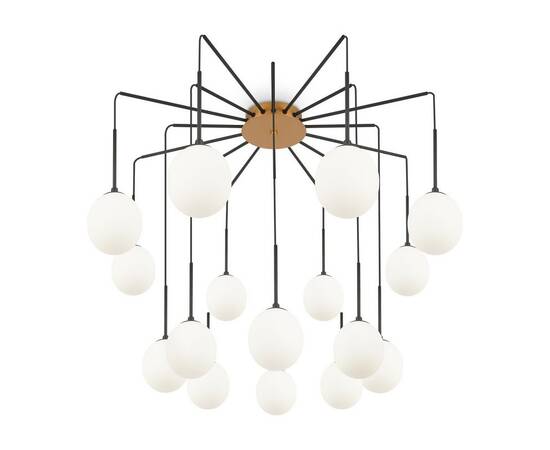 Подвесная люстра Maytoni Branch MOD176PL-16G, изображение 2