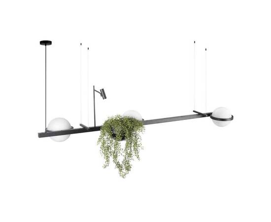 Подвесной светильник LOFT IT Jardin 10121/C, изображение 2