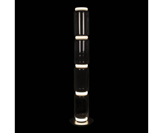 Торшер светодиодный Loft IT Noctambule 10194F/L, изображение 4