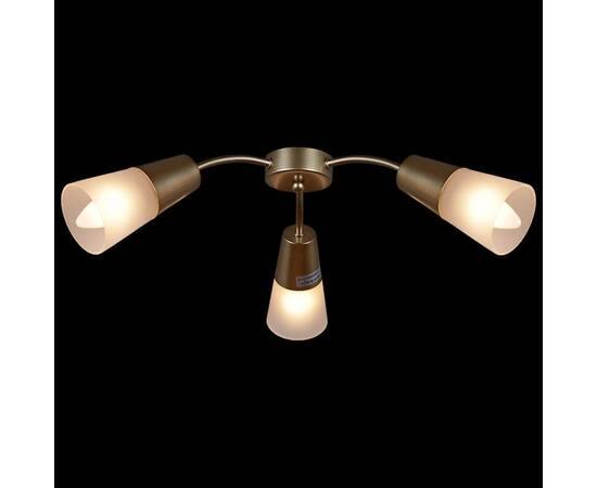 Потолочная люстра Reluce 01266-0.3-03B GOLD, изображение 4