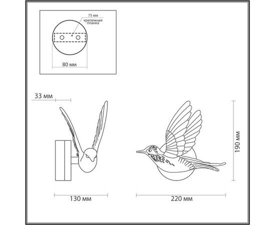 Настенный светильник Odeon Light COLOMBELLA 4341/3WLA, изображение 4