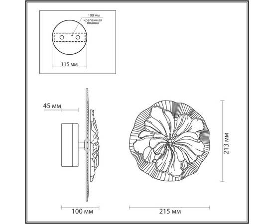 Настенный светильник Odeon Light FIORE 6614/8WL, изображение 4