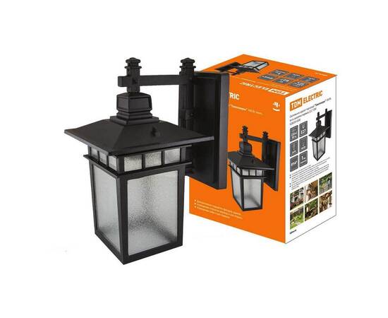 Уличный настенный светильник TDM Electric Тамплиеры SQ0330-0300