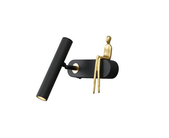 Светодиодный спот Arte Lamp ALBERT A2173AP-1BK