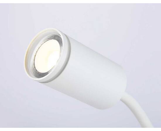 Настольная лампа Ambrella light Wallers FW2467, изображение 2