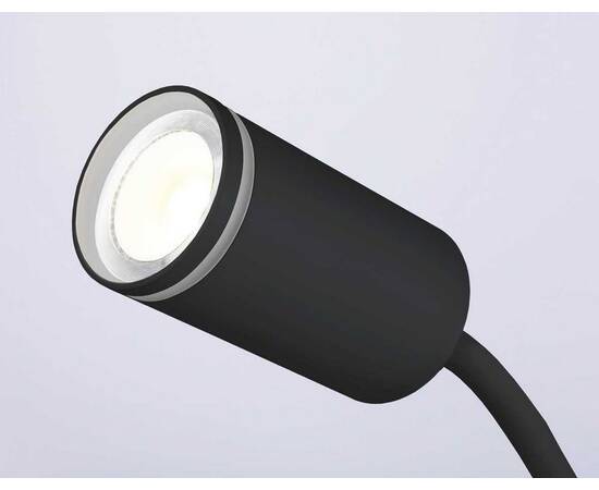 Настольная лампа Ambrella light Wallers FW2468, изображение 2