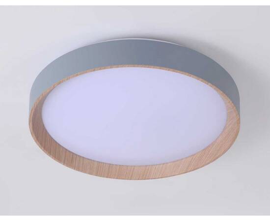 Потолочный светодиодный светильник Ambrella light Orbital Design FZ1320, изображение 4
