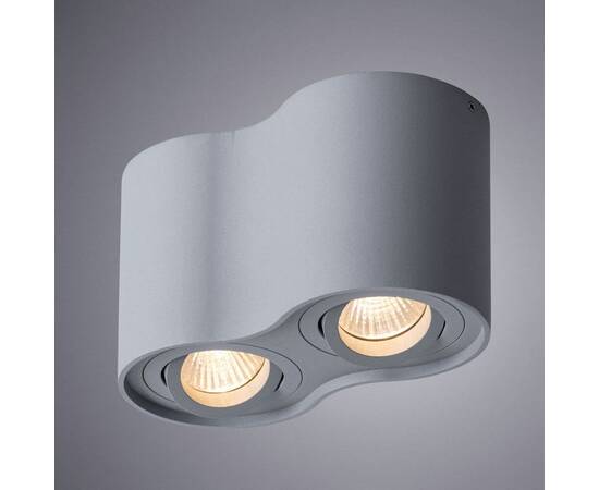Потолочный светильник Arte Lamp Falcon A5645PL-2GY, изображение 2