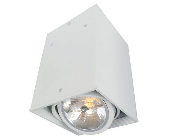 Потолочный светильник Arte Lamp Cardani A5936PL-1WH