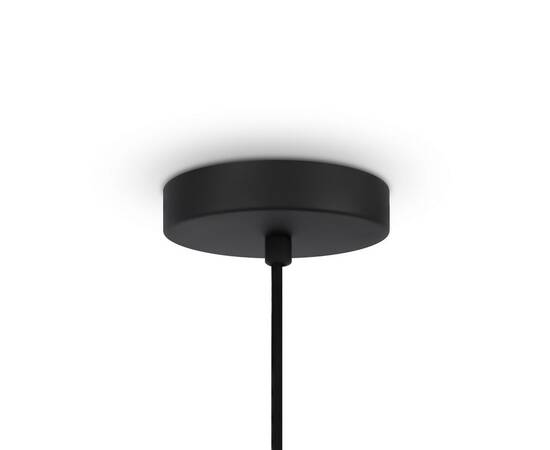 Подвесной светильник Maytoni Modern Roots MOD197PL-01W2, изображение 4