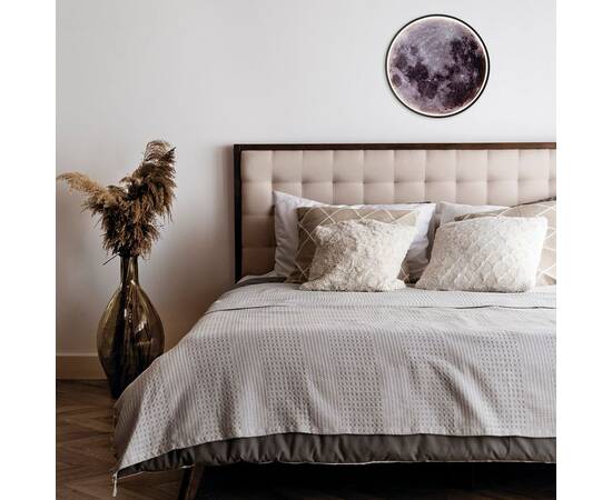 Настенно-потолочный светодиодный светильник Escada Planet 10226/SG LED Mars, изображение 5