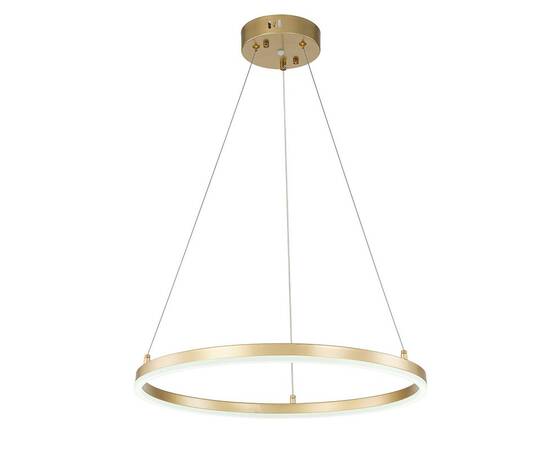 Подвесной светодиодный светильник Escada Void 10254/1LED Gold APP, изображение 3