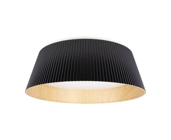 Потолочный светодиодный светильник Loft IT Evans 10224 Black