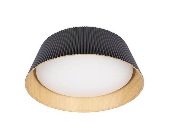 Потолочный светодиодный светильник Loft IT Evans 10224 Black, изображение 2