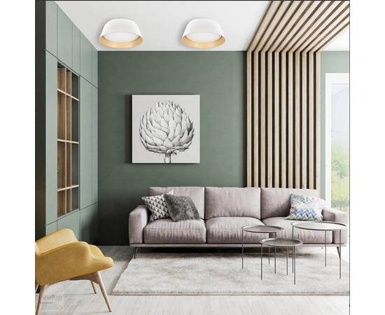Потолочный светодиодный светильник Loft IT Evans 10224 Black, изображение 4