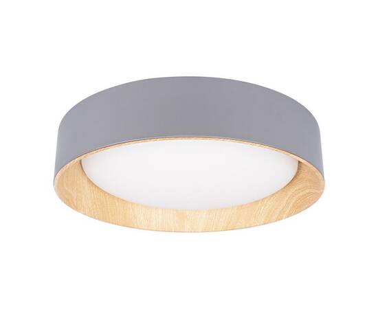 Потолочный светодиодный светильник Loft IT Coin 10202 Grey