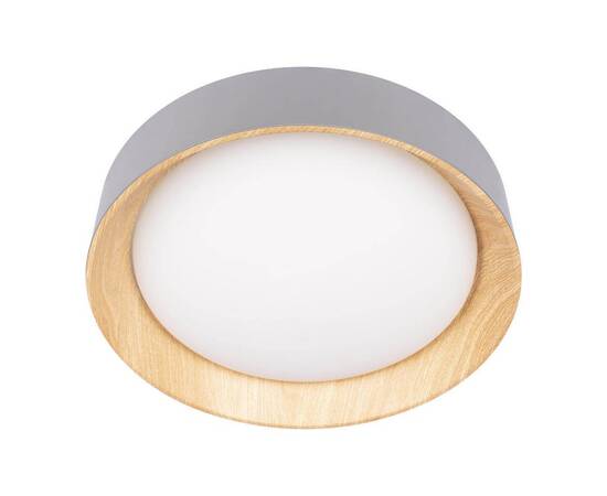 Потолочный светодиодный светильник Loft IT Coin 10202 Grey, изображение 2