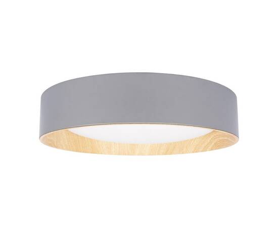 Потолочный светодиодный светильник Loft IT Coin 10202 Grey, изображение 3