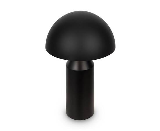 Настольная лампа Freya Eleon FR5218TL-02B1, изображение 7