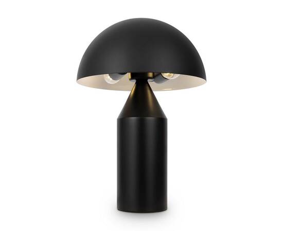 Настольная лампа Freya Eleon FR5218TL-02B1, изображение 8