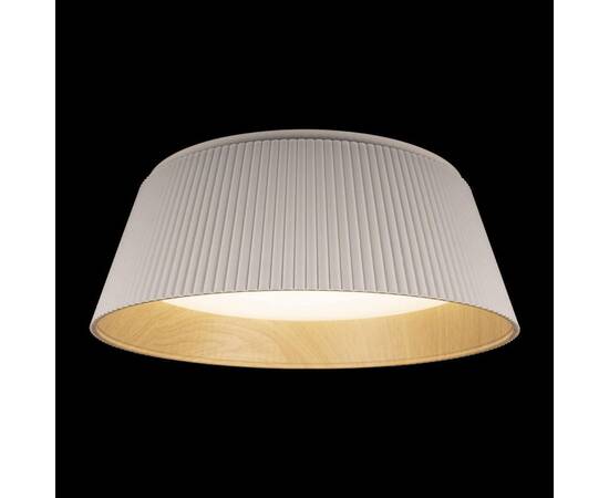 Потолочный светодиодный светильник Loft IT Evans 10224 White, изображение 3