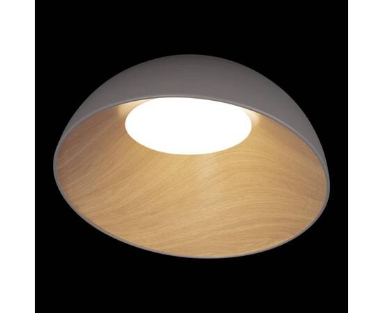 Потолочный светодиодный светильник Loft IT Egg 10197/500 Grey, изображение 4