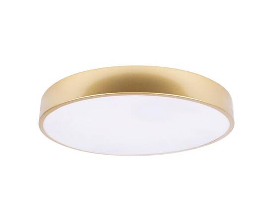 Потолочный светодиодный светильник Loft IT Flims 10228/A
