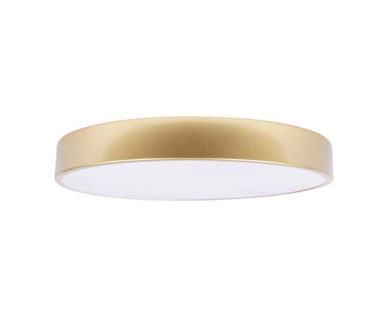 Потолочный светодиодный светильник Loft IT Flims 10228/A, изображение 2