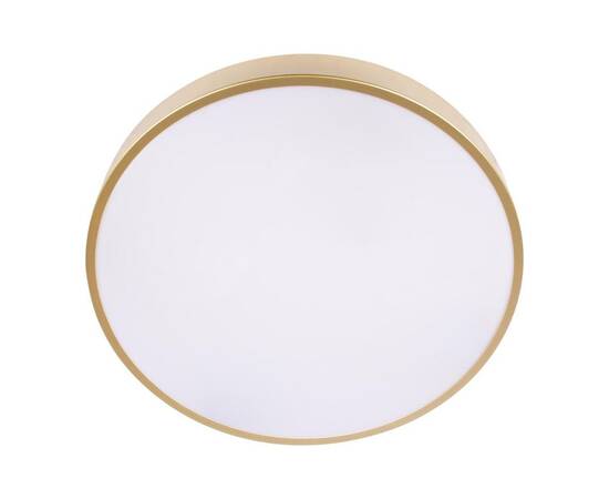 Потолочный светодиодный светильник Loft IT Flims 10228/A, изображение 3