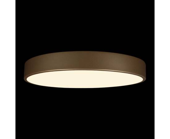 Потолочный светодиодный светильник Loft IT Flims 10228/A, изображение 4