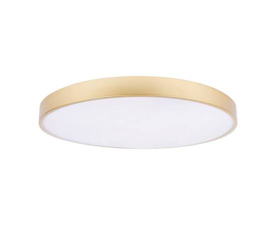 Потолочный светодиодный светильник Loft IT Flims 10228/B