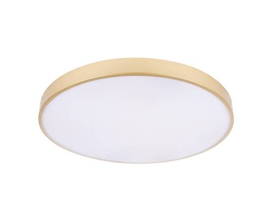 Потолочный светодиодный светильник Loft IT Flims 10228/B, изображение 2