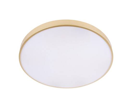 Потолочный светодиодный светильник Loft IT Flims 10228/B, изображение 3